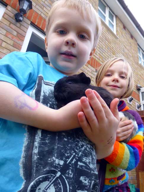 Beauty-is-in-the-eye-of-the