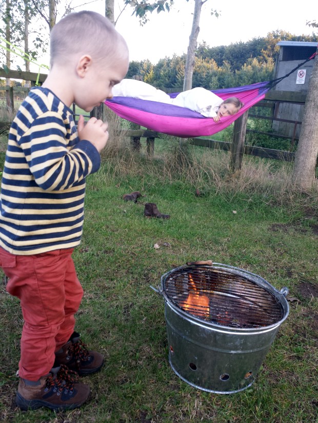 Thetford forest hammock fire pit