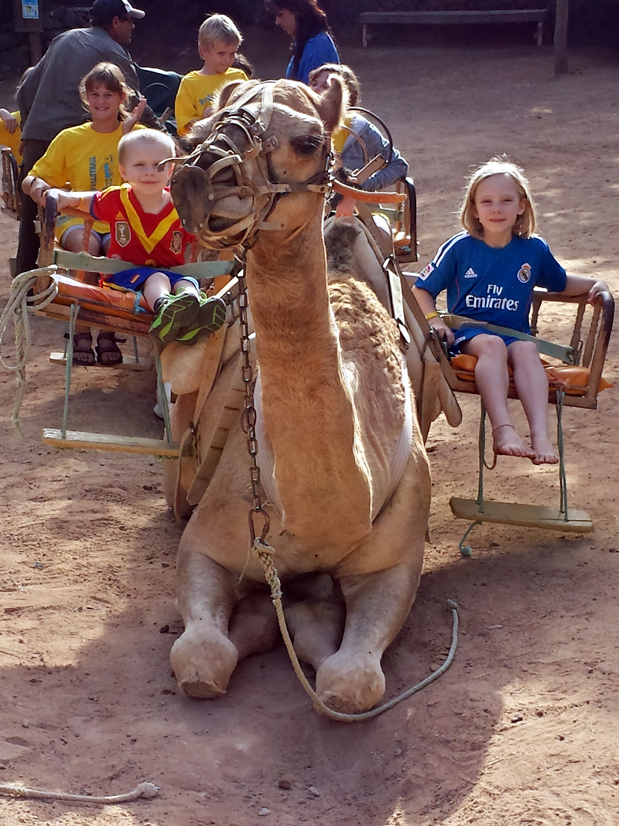 camel-ride-1