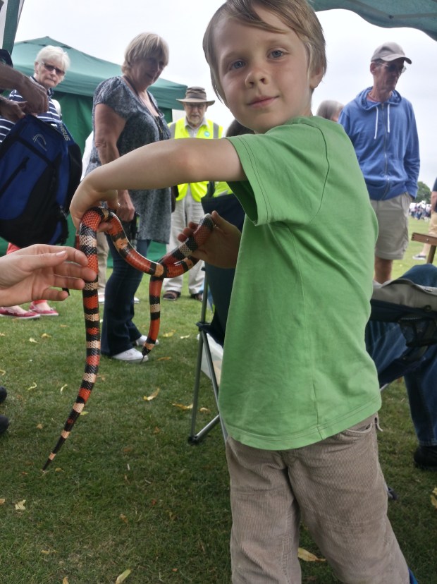 20150620_145050_Richtone(HDR)