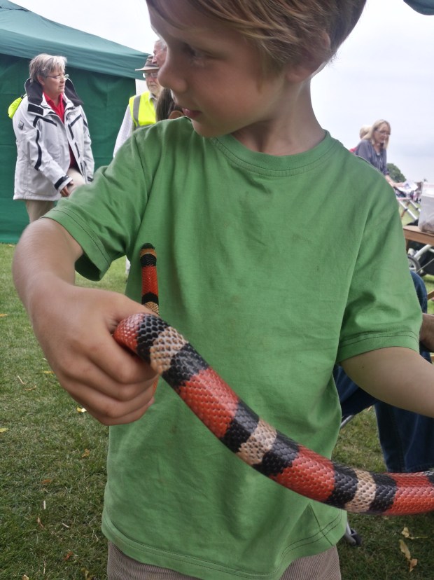 20150620_145107_Richtone(HDR)