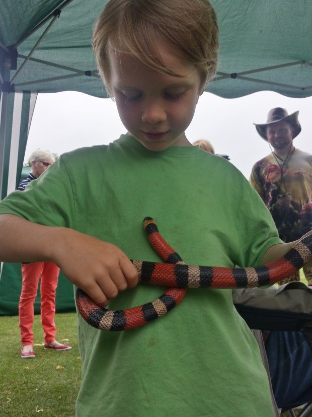 20150620_145140_Richtone(HDR)