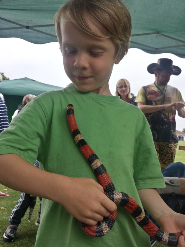 20150620_145158_Richtone(HDR)