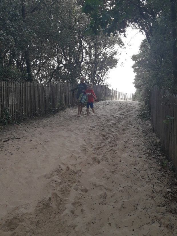 20170811_201036_Richtone(HDR)