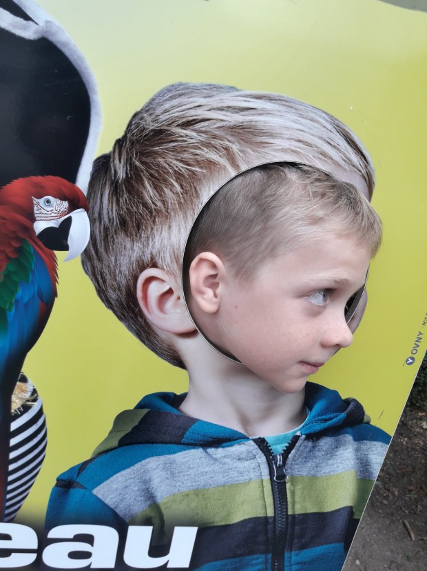 20170812_190308_Richtone(HDR)