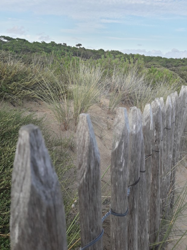 20170816_195328_Richtone(HDR)